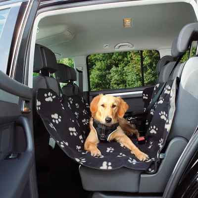 Chien allongé sur une housse noire à motifs pattes pour siège arrière de voiture, harnais visible, intérieur de véhicule en arrière-plan.