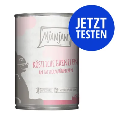 MjAMjAM Köstliche Garnelen an saftigem Hühnchen, getreidefrei, mit Meeresfrüchten. Jetzt testen.