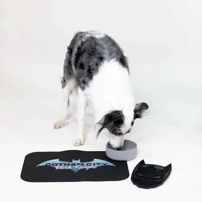 Hund frisst aus grauem Napf auf schwarzer Matte mit Batman-Logo und Text 'Gotham City Bark Knight', daneben schwarze Silikonunterlage in Form einer Fledermausmaske.