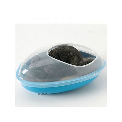 Contenitore in plastica blu con coperchio trasparente, all'interno un piccolo animale dal pelo scuro visibile attraverso l'apertura superiore.