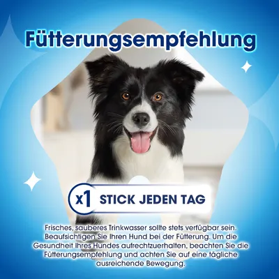 PURINA Dentalife Tägliche Zahnpflege-Snacks für grosse Hunde (25-40 kg) - Sparpaket: 2 x 72 Sticks (48 x 106 g)