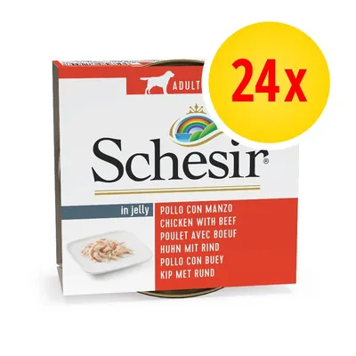 Schesir in jelly pollo con manzo, confezione da 24x. Testo visibile: ADULT, pollo con manzo in sei lingue. Immagine di cibo su piatto bianco.