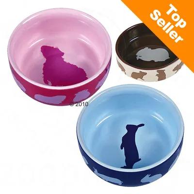Gamelles pour rongeurs et lapins, motifs d’animaux visibles à l’intérieur et sur les bords. Badge orange en haut à droite : Top Seller.
