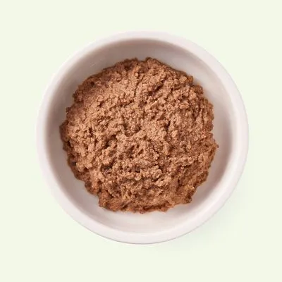 Yarrah biologisch organisch kattenvoer paté 1 x 400 g Vis