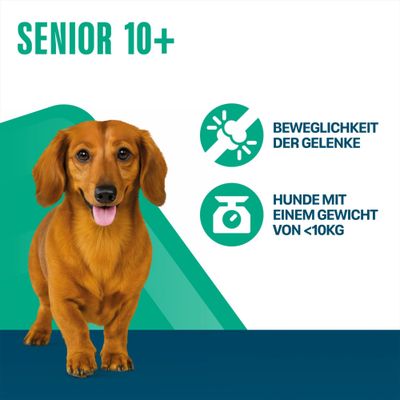 Perfect Fit Senior Hund (<10 kg)