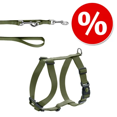 Harnais et laisse verts en nylon avec attaches métalliques, boucle de fermeture noire et symbole pourcentage blanc sur fond rouge indiquant une offre ou promotion visible.
