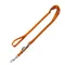 Laisse réglable HUNTER London, orange pour chien L 200 x 1,5 cm