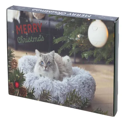 Adventskalender med kat på blød pude, grangrene og teksten 'Merry Christmas'.