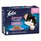 Felix Le Ghiottonerie Junior in gelatina misto Alimento umido per gatti 12 x 85 g