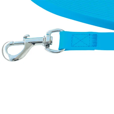 Mousqueton métallique argenté attaché à une laisse bleue en tissu synthétique, couture renforcée visible sur la sangle.