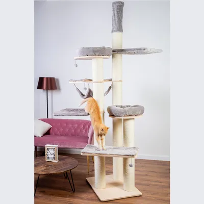 Arbre à chat en bois et sisal avec plusieurs plateformes, paniers et hamac, recouvert de tissu gris, un chat roux grimpe dessus. Mobilier d’intérieur visible en arrière-plan.