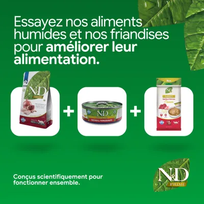 N&D Prime croquettes, pâtée au poulet et grenade et crème adulte. Développé scientifiquement pour une meilleure nutrition.