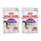 Sparpaket Royal Canin Pouch 24 x 85 g Mix: Sterilised in Soße + Gelee