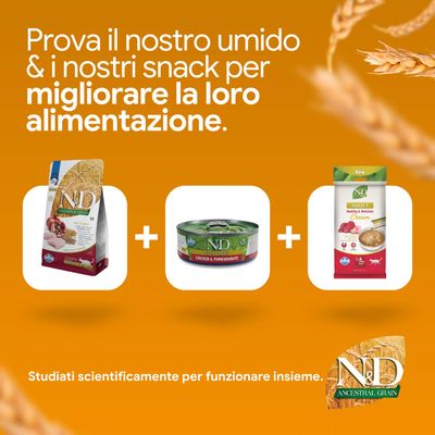 N&D Ancestral Grain crocchette, N&D Prime Chicken & Pomegranate alimento umido e N&D adult cream snack. Sviluppato scientificamente per una migliore alimentazione.