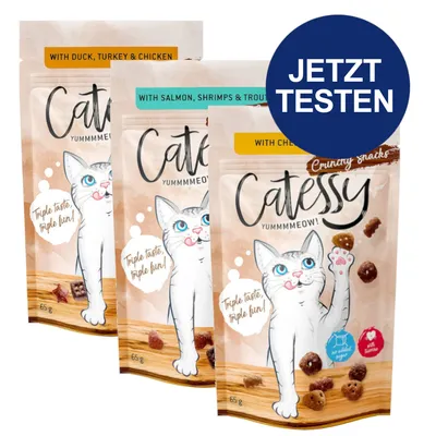 Catessy Crunchy Snacks in drei Sorten: Ente, Truthahn & Huhn; Lachs, Garnelen & Forelle; Käse. Hinweis 'Triple taste, triple fun!' und Button 'Jetzt testen'.