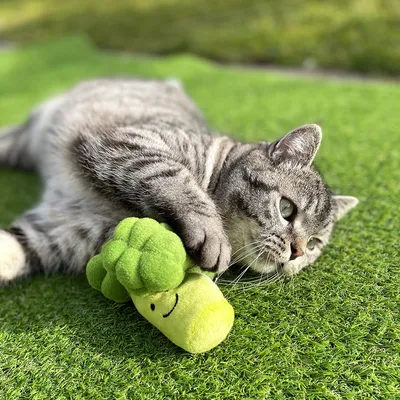 Grey cat playing with green plush toy shaped like broccoli on green lawn.