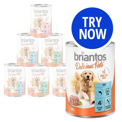 Briantos Delicious Paté grain-free recipe, adult, with fish and peas, no sugar added, no artificial flavourings. Blue badge reads 'TRY NOW'. 400g can shown.