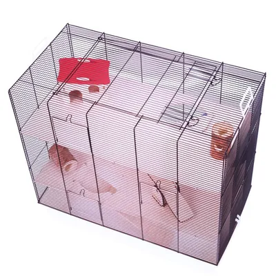 Wire cage with multiple levels, ramps, a red plastic house, tunnels and wooden accessories inside, shown from above to display interior layout and features.