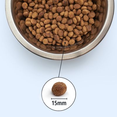 Crocchette in ciotola di acciaio inox, una singola crocchetta evidenziata con indicazione del diametro, 15 mm.