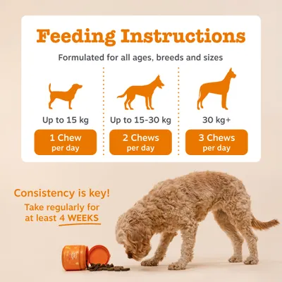Zesty Paws Scoot Away Anal Gland Support Chews Zesty Paws Scoot Away Anal Gland Support Chews