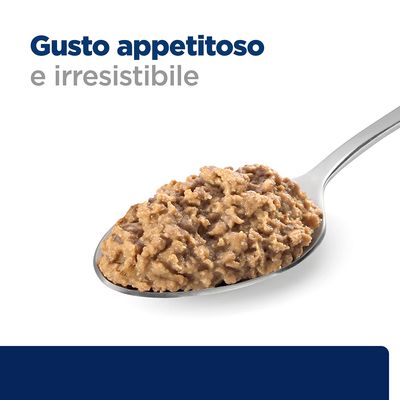 Gusto appetitoso e irresistibile. Testo visibile sopra cucchiaio con alimento umido marrone.