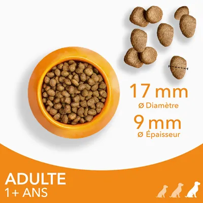 Croquettes pour chien adulte 1+ ans, diamètre 17 mm, épaisseur 9 mm, présentées dans une gamelle orange et en gros plan. Texte visible : ADULTE 1+ ANS.