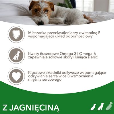 Mieszanka przeciwutleniaczy z witaminą E, kwasy tłuszczowe Omega-3 i Omega-6 oraz składniki odżywcze wspomagające serce. Z jagnięciną.