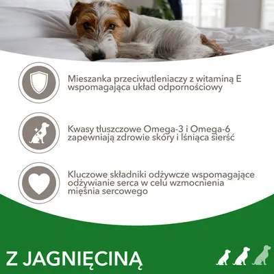 Mieszanka przeciwutleniaczy z witaminą E, kwasy tłuszczowe Omega-3 i Omega-6 oraz składniki odżywcze wspomagające serce. Z jagnięciną.