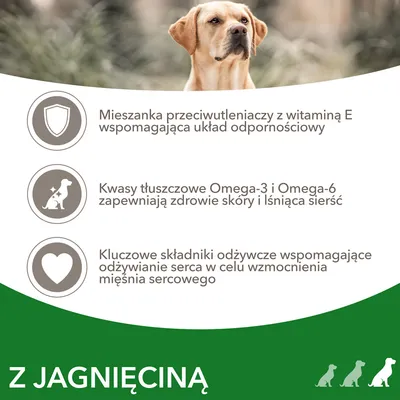 Mieszanka przeciwutleniaczy z witaminą E, kwasy tłuszczowe Omega-3 i Omega-6 oraz składniki odżywcze wspomagające serce. Z jagnięciną.