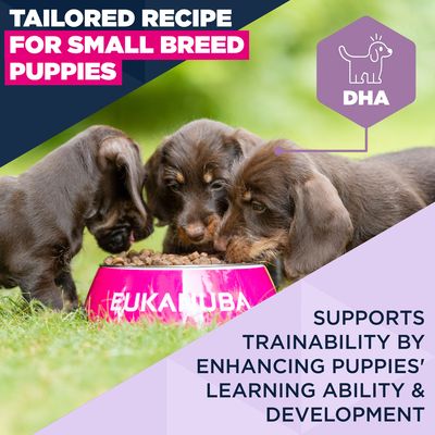 Eukanuba Premium Nutrition Puppy Small Breed Puppy csirke - 2 x 7,5 kg