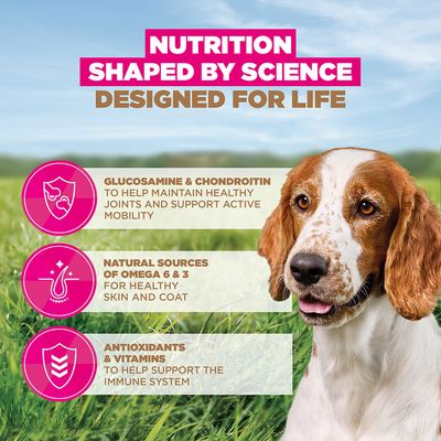 Eukanuba Grain Free Senior Small & Medium tengeri hal - 3 kg