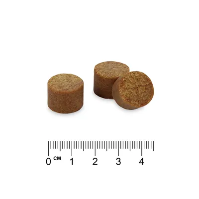 Probiotic Supplements Chews - Concept for Life - 270 g