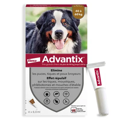 Advantix Elanco pour très grands chiens 40 à 60 kg, élimine puces, tiques et poux broyeurs, effet répulsif sur tiques, moustiques, phlébotomes et mouches d’étable. 4 x 6,0 ml.