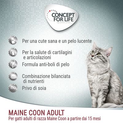 Concept for Life Maine Coon Adult. Per gatti adulti di razza Maine Coon da 15 mesi. Formula anti-boli, privo di soia, nutrienti bilanciati, salute cute e articolazioni.