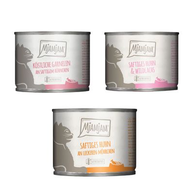 Kombi-Paket MjAMjAM 36 x 200 g - Mixpaket 3 (3 Sorten)