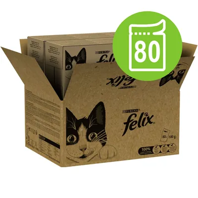 Scatola aperta di Purina Felix con disegno di gatto, testo visibile: 80×100 g, 100% completo e bilanciato, confezione da 80 bustine.