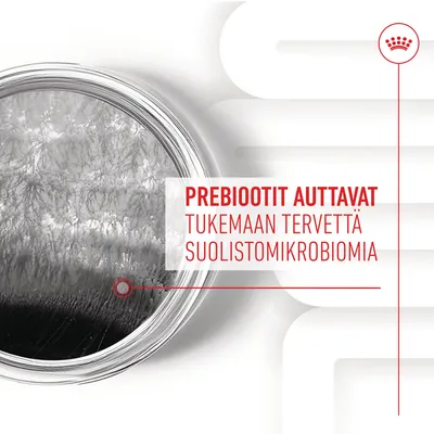 PREBIOOTIT AUTTAVAT TUKEMAAN TERVETTÄ SUOLISTOMIKROBIOMIA (kuvassa teksti ja mikroskooppikuva).