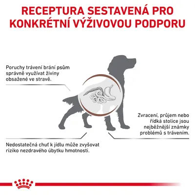 Receptura sestavená pro konkrétní výživovou podporu. Poruchy trávení brání psům využívat živiny, zvracení a průjem jsou známky problémů, nedostatečná chuť zvyšuje riziko úbytku hmotnosti.