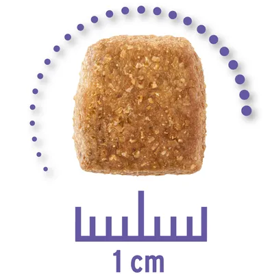Foderpille vist med størrelsesdiagram, måler 1 cm. Kvadratisk form og brun farve, tekst: 1 cm under pille.