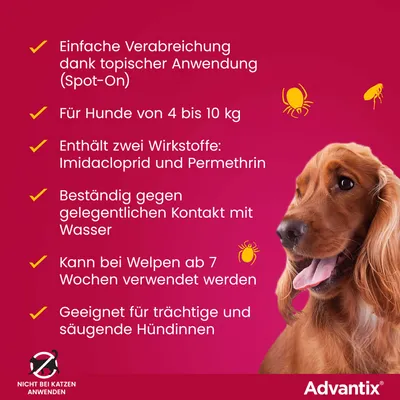 Advantix: Spot-On für Hunde 4-10 kg, enthält Imidacloprid und Permethrin, wasserbeständig, ab 7 Wochen, für trächtige/säugende Hündinnen, nicht bei Katzen anwenden. Advantix: Spot-On für Hunde 4-10 kg, enthält Imidacloprid und Permethrin, wasserbeständig, ab 7 Wochen, für trächtige/säugende Hündinnen, nicht bei Katzen anwenden.