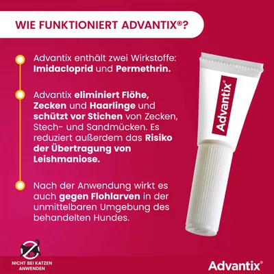 Advantix enthält Imidacloprid und Permethrin, eliminiert Flöhe, Zecken, Haarlinge, schützt vor Stichen, reduziert Leishmaniose-Risiko, wirkt gegen Flohlarven. Nicht bei Katzen anwenden.