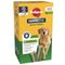 Pedigree Dentastix Fresh - Daily Oral Care for Large Dogs (>25kg) 84 Sticks