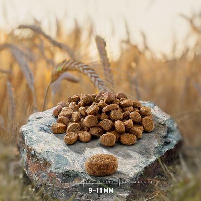 Croquetas de pienso marrón sobre una piedra, con una croqueta en primer plano y escala visible que indica tamaño 9–11 mm.