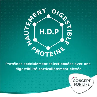 Concept for Life Large Adult - nouveau : lot économique : 2 x 12 kg