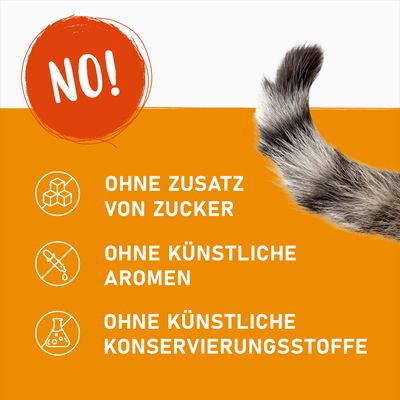 Produktmerkmale: Ohne Zusatz von Zucker, ohne künstliche Aromen, ohne künstliche Konservierungsstoffe. Hinweis 'NO!' in rotem Kreis und Katzenpfote sichtbar.