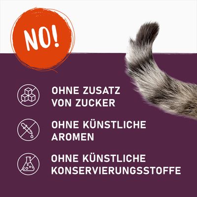 Produktmerkmale: Ohne Zusatz von Zucker, ohne künstliche Aromen, ohne künstliche Konservierungsstoffe. Hinweis 'NO!' in orange Kreis.