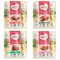 Probiermix Feringa Sticks 12 x 6 g (4 Sorten)