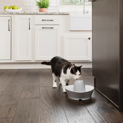 Black and white cat drinking from a grey water fountain in a modern kitchen with wooden floor and white cabinets.