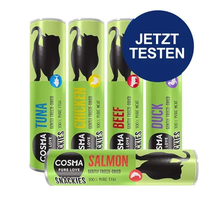 Cosma Snackies, gefriergetrocknet: Sorten Tuna, Chicken, Beef, Duck und Salmon. 100% reiner Fisch oder Fleisch. Jetzt testen.
