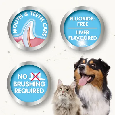 Gel dentifrice beaphar pour chien et chat - 100 g